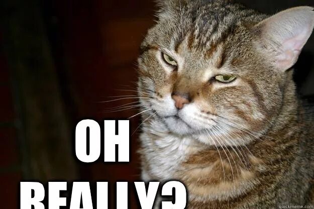 Oh really mem. мем really. мем oh cat. Instagram emoji t-shirt. Oh really.