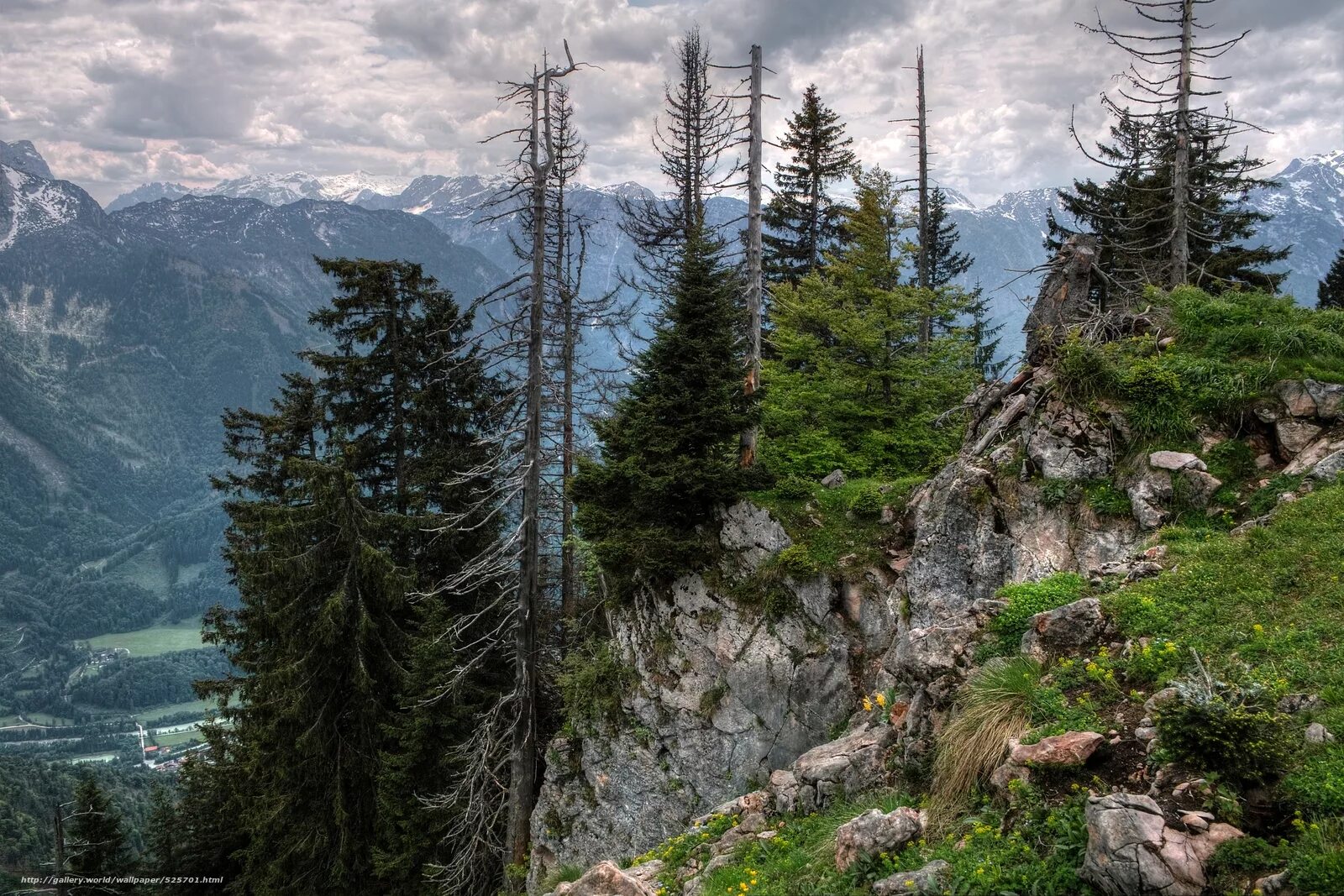Лес скалы. Каменные горы. Камни в лесу. Гора аттикус. Хвойный лес в горах.