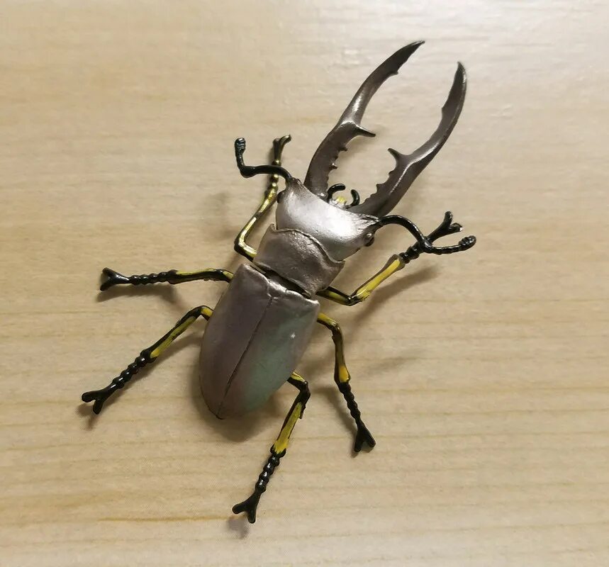 Жук математик. Жук рогач. cyclommatus metallifer. жук олень из металла. жук похожий на жука оленя.