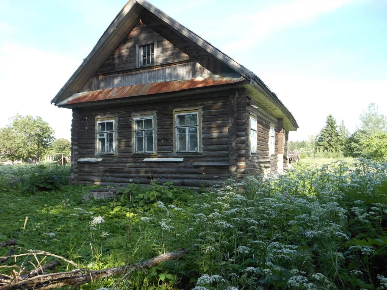 Деревня Радгостицы Батецкий район Новгородская область. Деревня разгостици Новгородская область. Деревня Клин Новгородской области. Деревня новое Рыдино Новгородская область. Домик в новгородской области