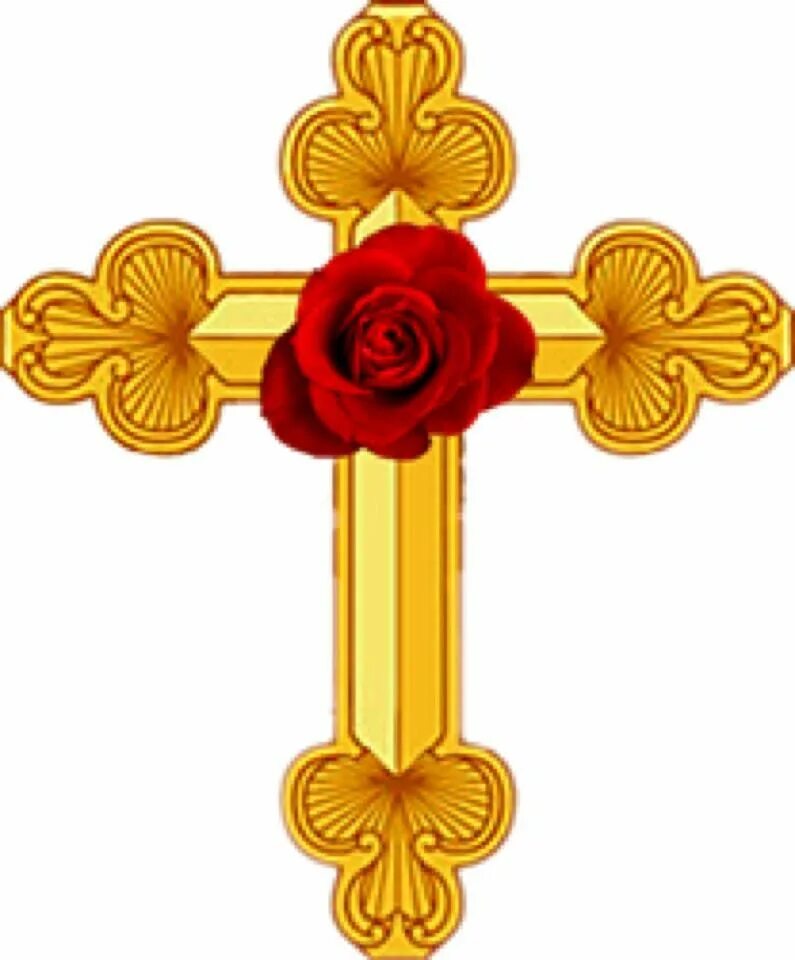 The rose cross. Каббалистический орден розы+креста. Готический крест. Крест с розой вектор. The rose cross.