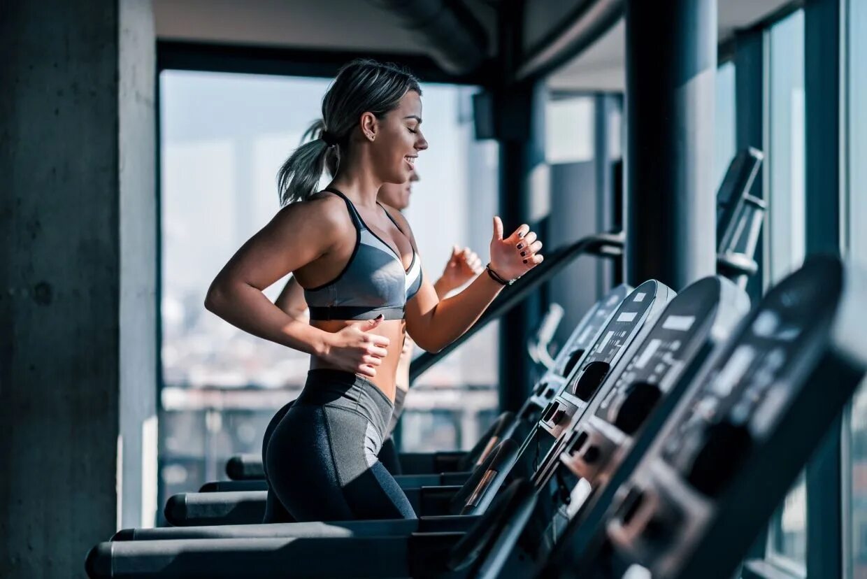 Dds fitness