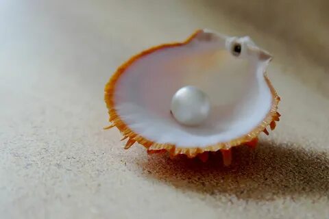 Terea sun pearl