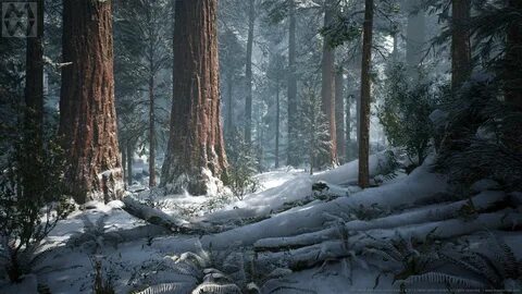Winter for some environment