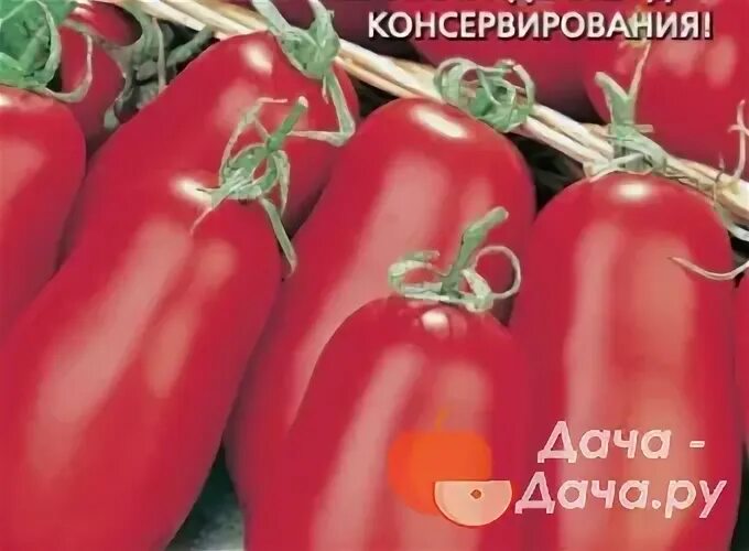 Помидоры сорт кураж. Томат косарь. томат коррида. помидоры косарь описание сорта. томат косарь фото.