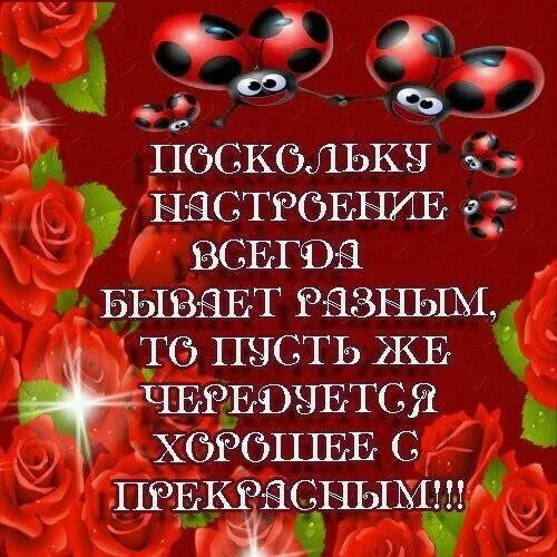 Стихи добрый день и отличного настроения. Стихотворение про хорошее настроение. Стихи для хорошего настроения девушке. Прекрасной женщине стихи для настроения.