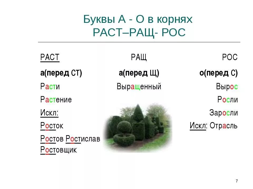 Слова с корнем раст рос. Слова с корнем раст ращ рос. Слова с корнем раст. Существительные с корнем раст ращ.