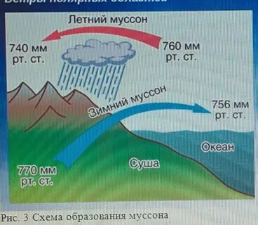 Муссонная циркуляция