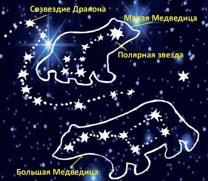 Созвездие фигурное. Рисунок малая и большая Медведица и Полярная звезда. Созвездие большой и малой медведицы. Большая и малая Медведица Созвездие на небе для детей. Полярная звезда в созвездии малой медведицы.