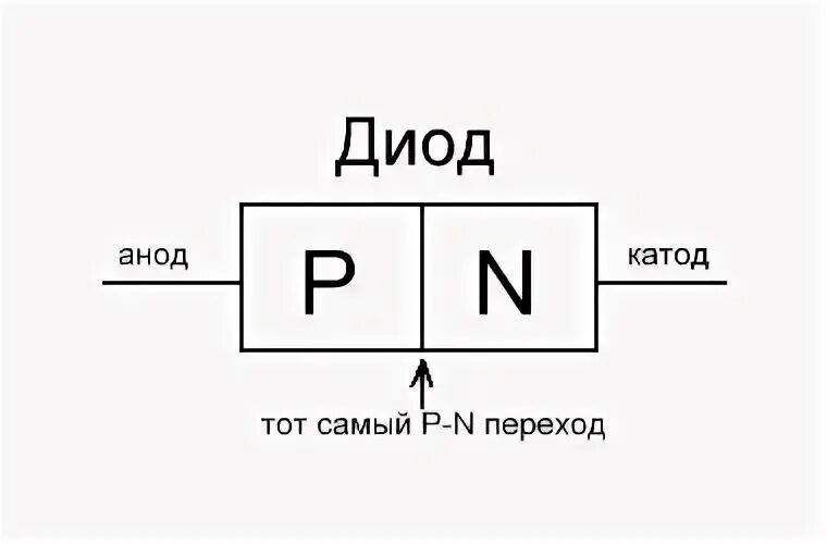 P n check