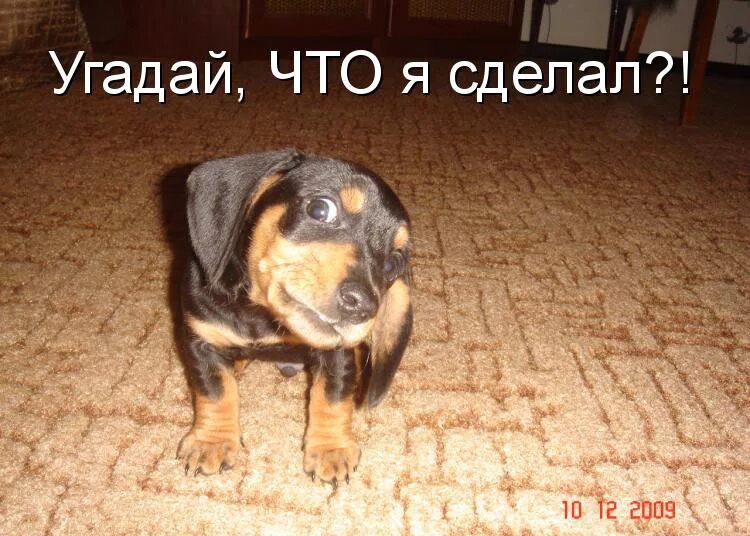 Что делает 102. Первая помощь при низком давлении. Что делает 102. Кровеносное давление норма. Слова на вопрос что делать.