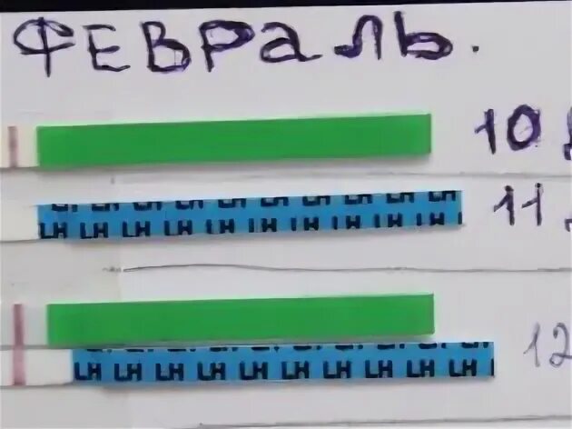 Цикл 33
