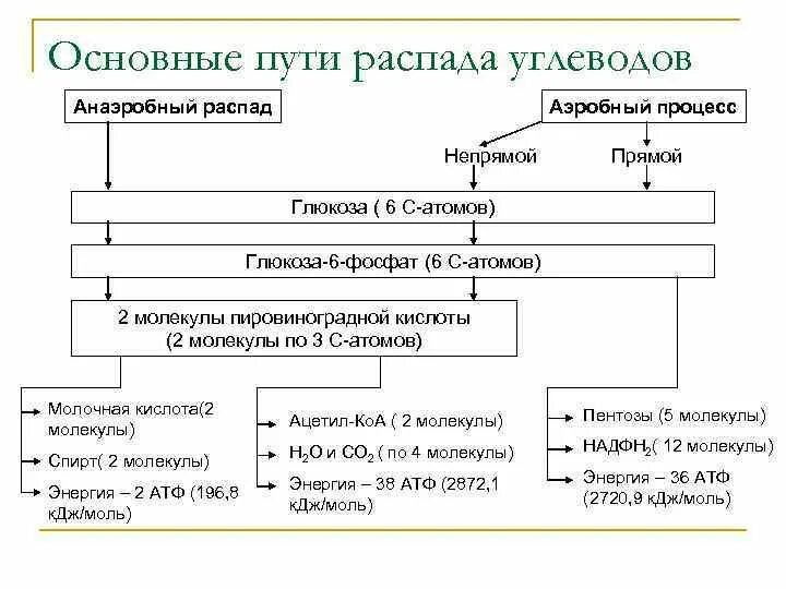 При полном распаде углеводов образуется. При полном распаде углеводов образуется