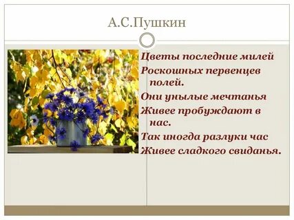 Последние цветы стихи
