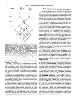 Гибридные особи
