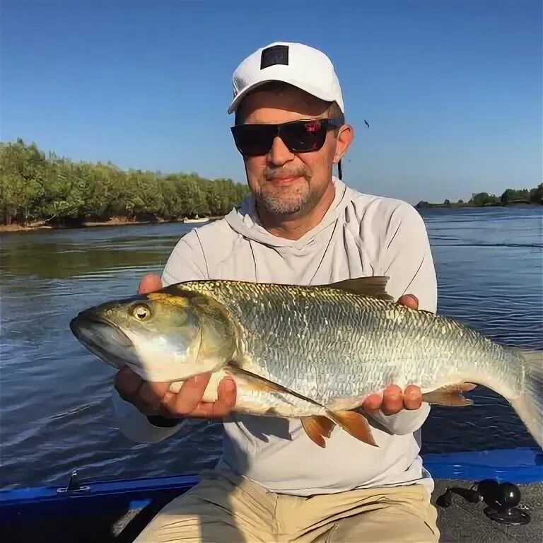 Два пескаря астрахань. Бисерово платная рыбалка форель. Бисеровский рыбокомбинат платная рыбалка. Жерех 10 кг. Бисеровский рыбный комбинат.