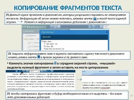 Копия текста