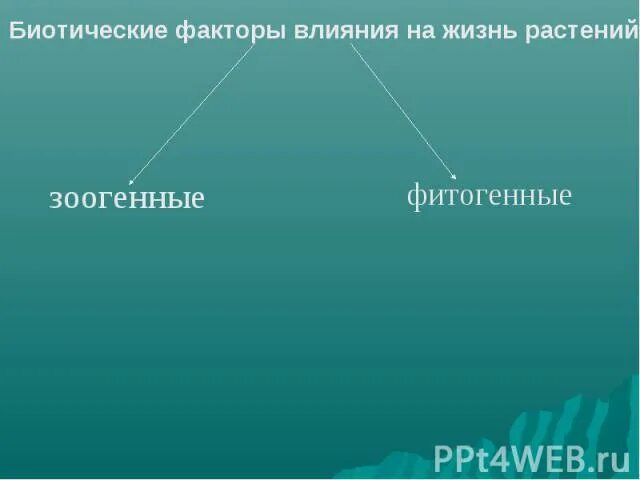 Биотические факторы среды. Фитогенные биотические факторы примеры. Влияние биотических факторов на растения. Биотические факторы растений. Воздействие биотических факторов.