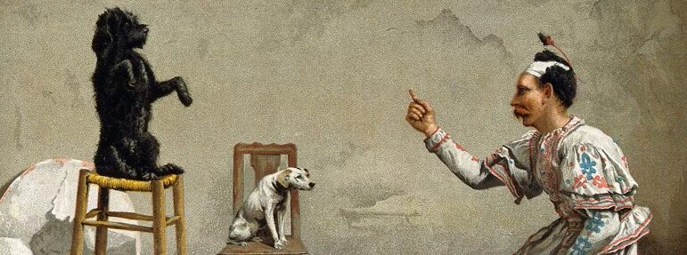 You can't teach an old dog new tricks. Idiom teach an old dog new tricks. You can't teach an old dog new tricks. You can teach an old dog new tricks. Teach an old new tricks.