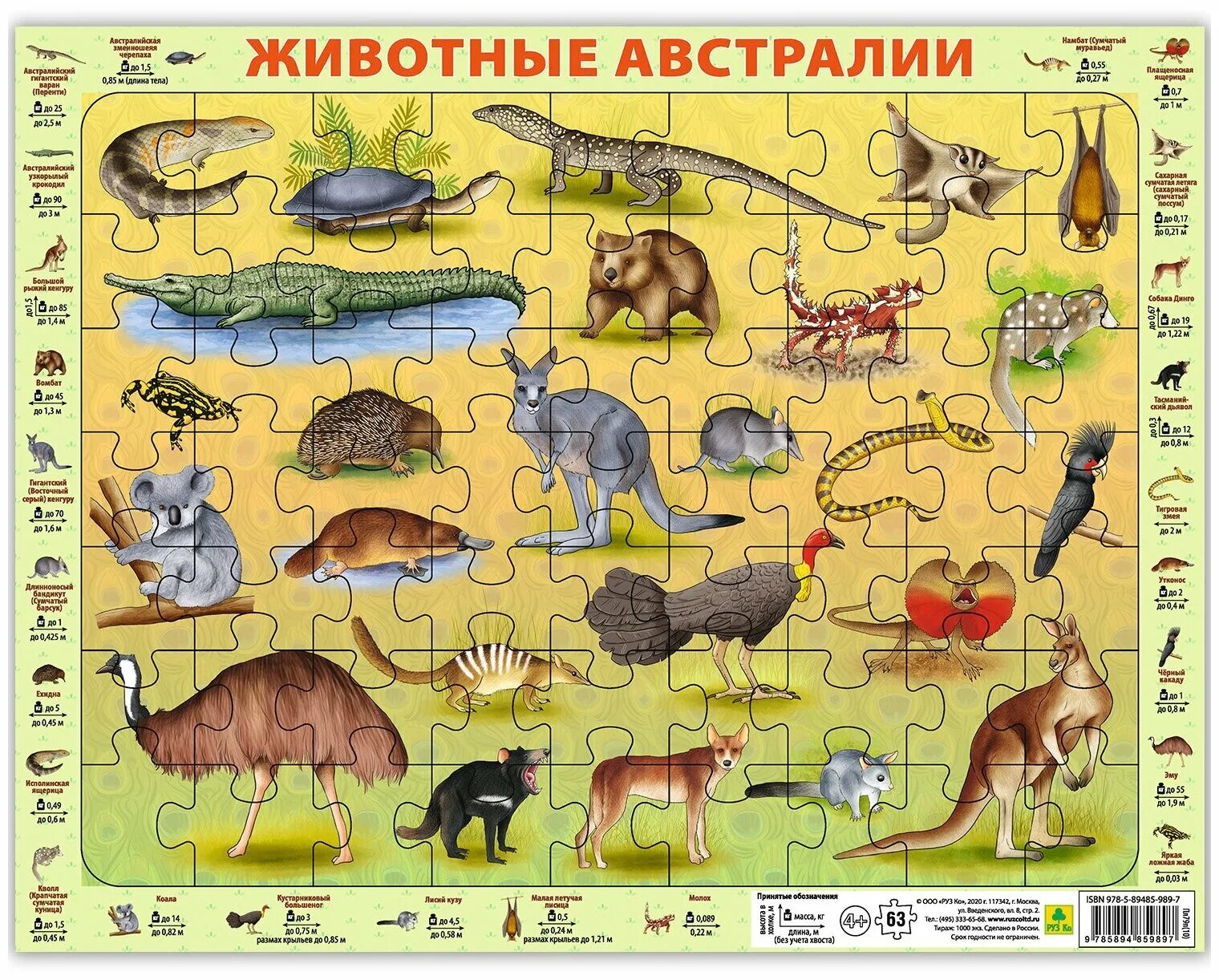 животные австралии для детей дошкольного возраста. животные австралии список. названия животных австралии. названия животных австралии. электронный плакат дрофа-медиа животные австралии.