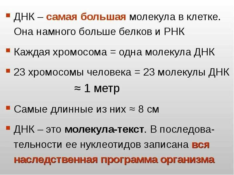 Определить длину молекулы днк. Днк и рнк презентация. самая большая молекула в мире. самая большая молекула размер.