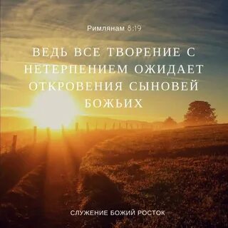 Откровения сыну