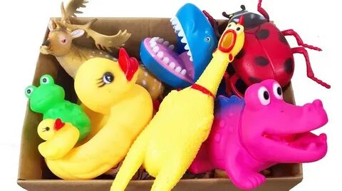 Fun toys