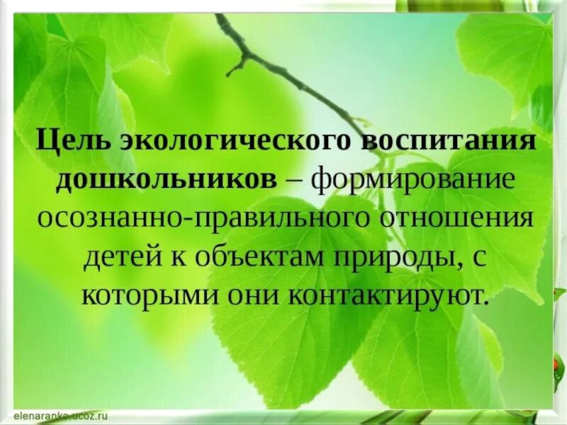 Цель экологического воспитания. Цель экологического воспитания дошкольников. Цели и задачи экологического воспитания дошкольников. Цель экологического воспитания в ДОУ. Цель экологических мероприятий