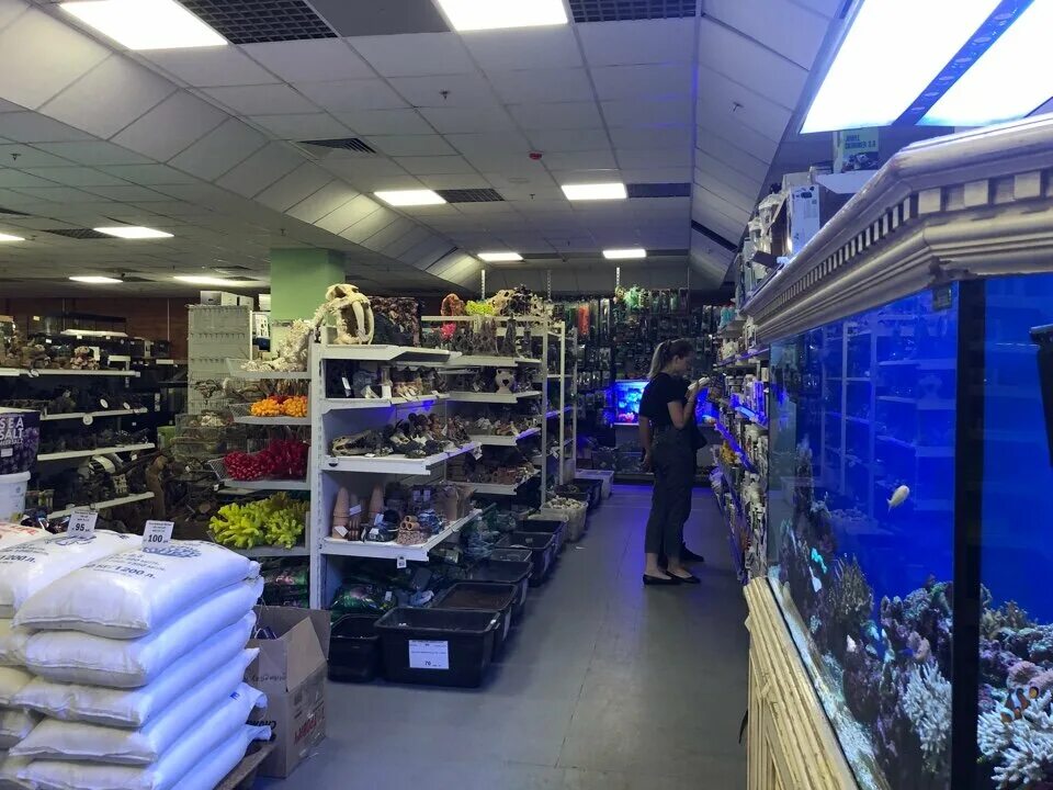 Акваинтерио в санкт петербурге. Энгельса 27 аквариумный гипермаркет. Аквариумный гипермаркет акваинтерио. Акваинтерио пр энгельса. Акваинтерио, санкт-петербург, коломяжский проспект.