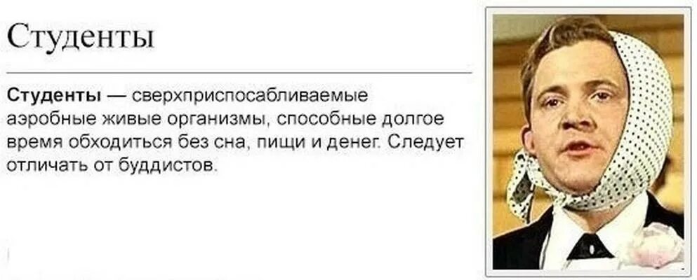 Смешные фразы про студентов. Фразы студентов. Демотиваторы про студентов. Студенчество это цитаты. Высказывания о студентах.