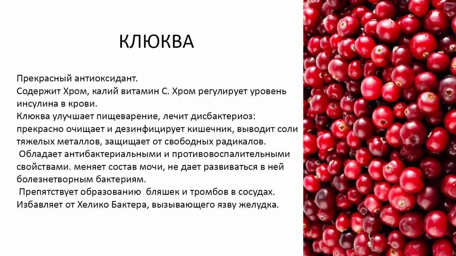 Клюква. Клюква витамины. Сколько витамина с в клюкве. Витамины содержащиеся в клюкве. Клюква звуки и буквы