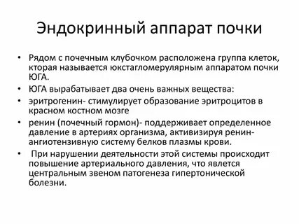 Органы эндокринного аппарата