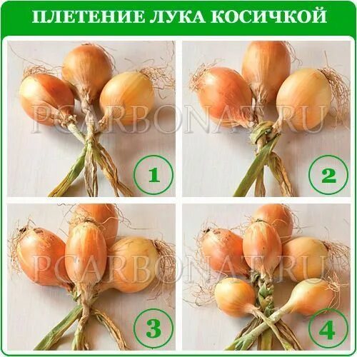 Плетем луковые косы Собираем дачный урожай и делаем эффектное украшение для кухн