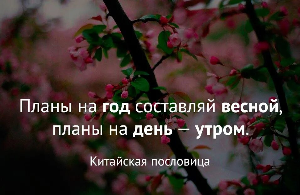 Планы на весну картинки. Планы на весну. Интересные планы на весну. План на весну на каждый день. Планы на весну список.