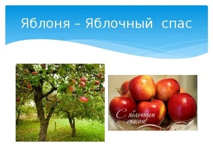 Слова яблоня яблоко