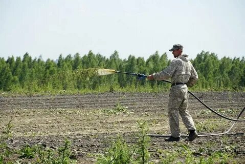 Рекультивация земель кузбасса
