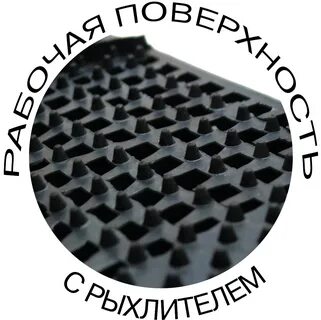 Сита сдал