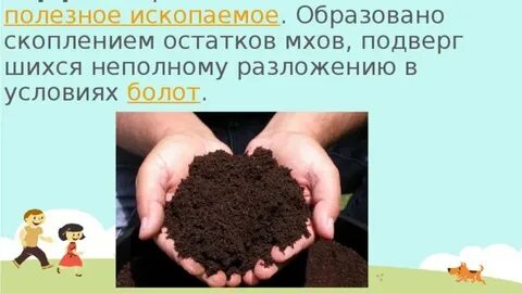 Какое полезное ископаемое образуется