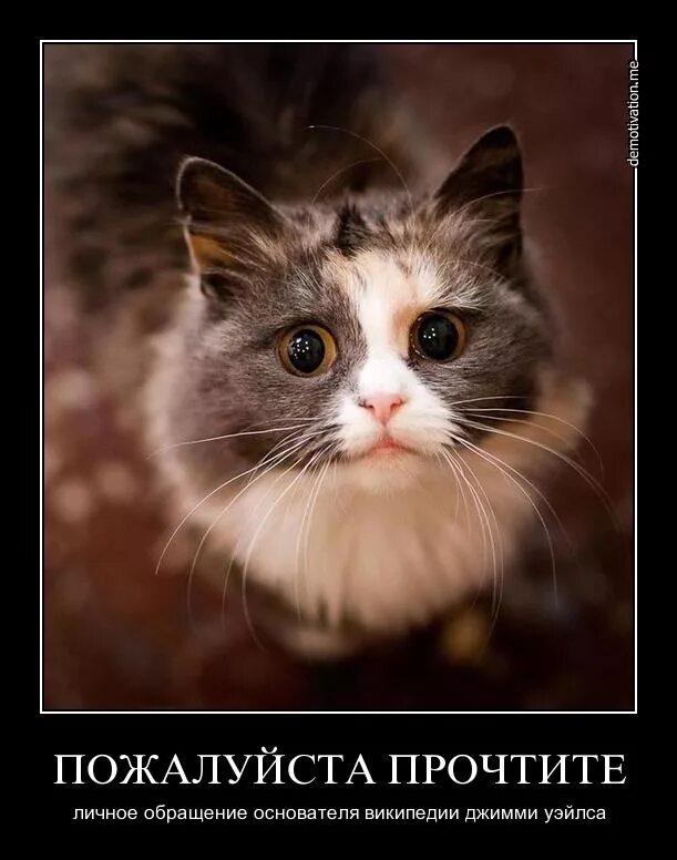Прочти пожалуйста внимательно. Пожалуйста юмор. пожалуйста демотиватор. картинка пожалуйста смешная. пожалуйста.