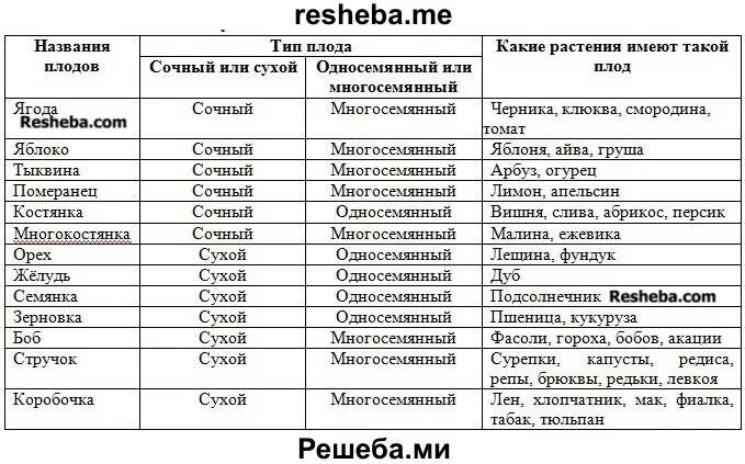 Биология 6 класс параграф 25 таблица. Таблица классификация плодов биология 6. Биология 6 кл таблица типы плодов. Биология таблица название плода Тип плода сочный или сухой. Биология 6 класс плоды таблица типы плодов.