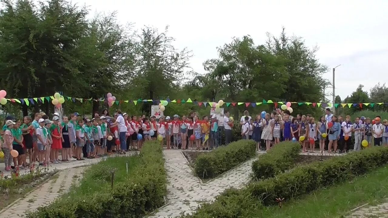 Лагерь чайка волгоград 2022. Лагерь чайка волгоград фото. Лагерь чайка волгоград. Лагерь чайка волгоградская область. Лагерь чайка ахтуба.
