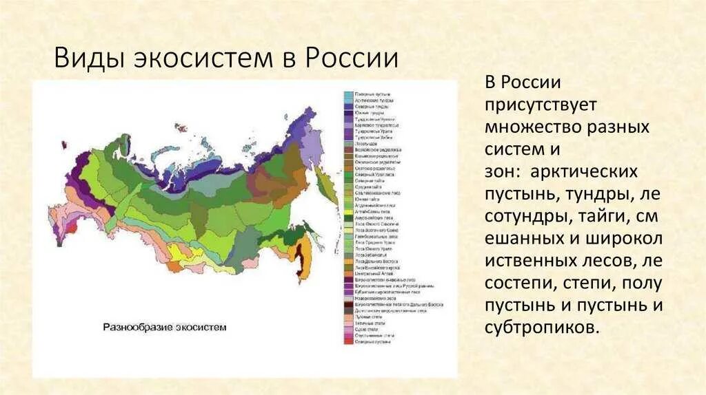 Климатический пояс широколиственных