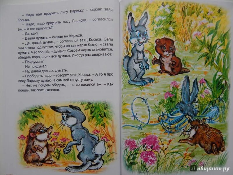 Про лису и ее норку