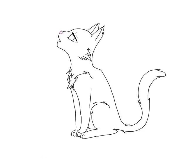 Нарисованный кот для срисовки. Рисунок кота для срисовки. котики для срисовки карандашом. картинки кошек для срисовки. рисунок кошки легкий для срисовки.