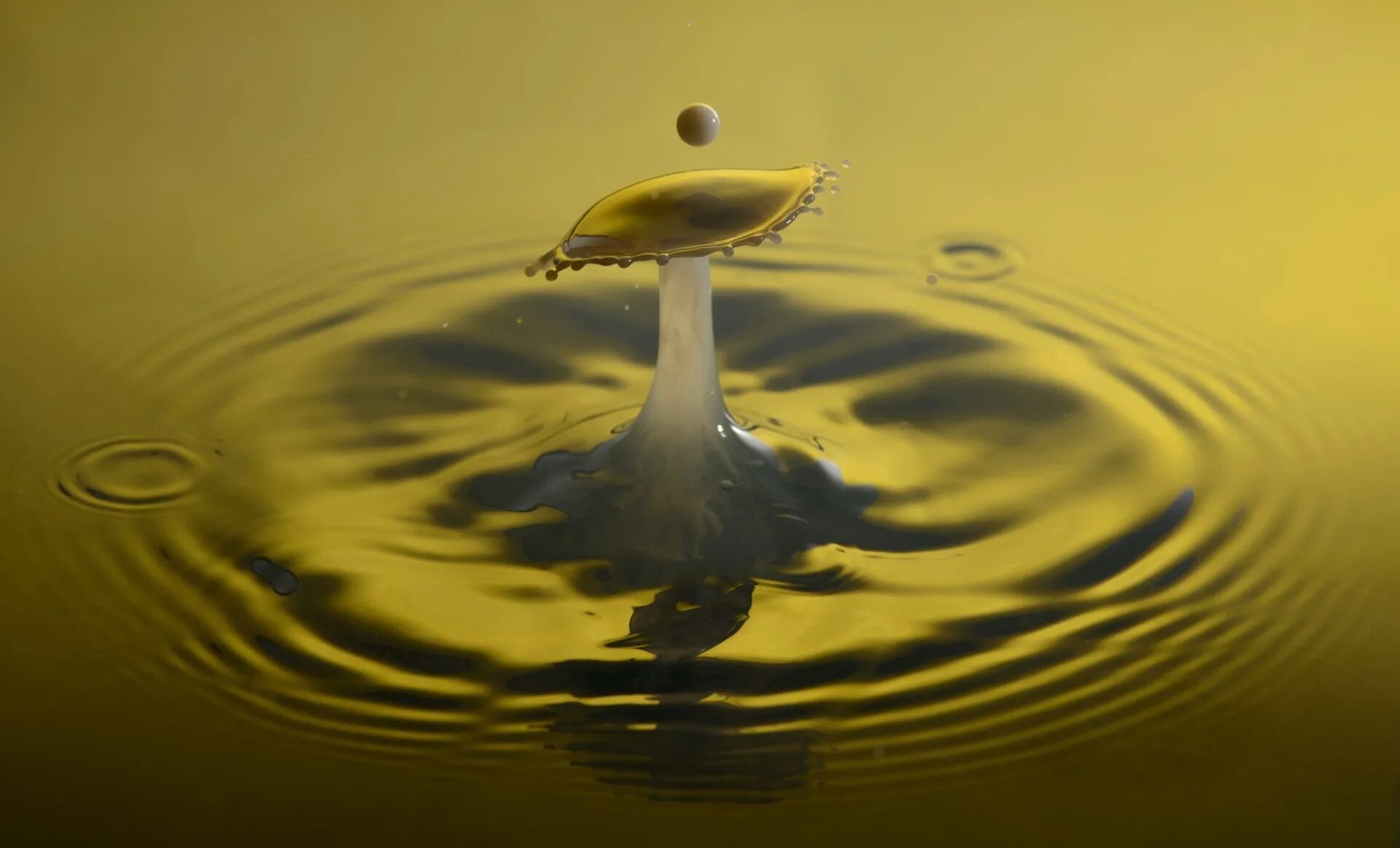 Капля падает с листа. Капля молока Макросъемка. Желтая капля. Капля воды корона. Капля воды желтая.
