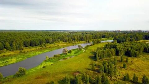 Посадское поселение