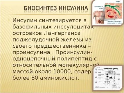Синтезирует инсулин в промышленных масштабах