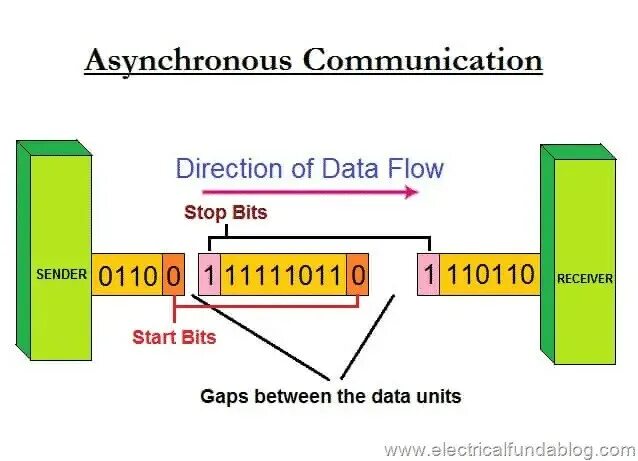 Data directory