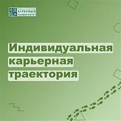 Траектория профессионального развития. Карьерные траектории студентов. Профессиональные карьерные траектории. Траектория профессионального становления. Карьерная траектория.