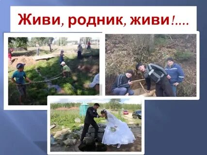 Живи родник живи текст